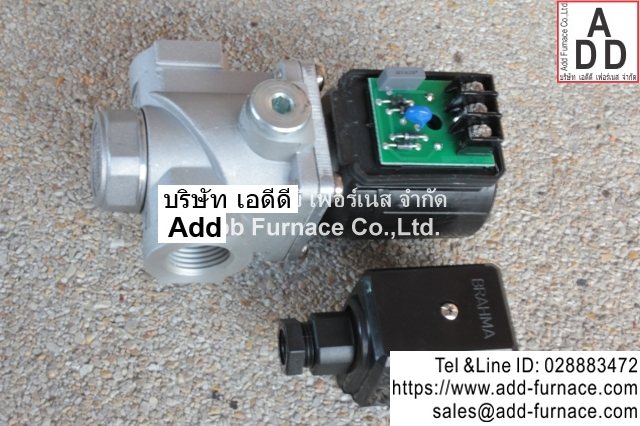 Brahma Type EG12*SR*GMO (3)